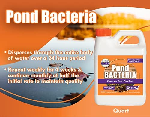 PondWorx Pond Bacteria - Formulated for Large Ponds, Water Features and Safe for Koi - Gallon
