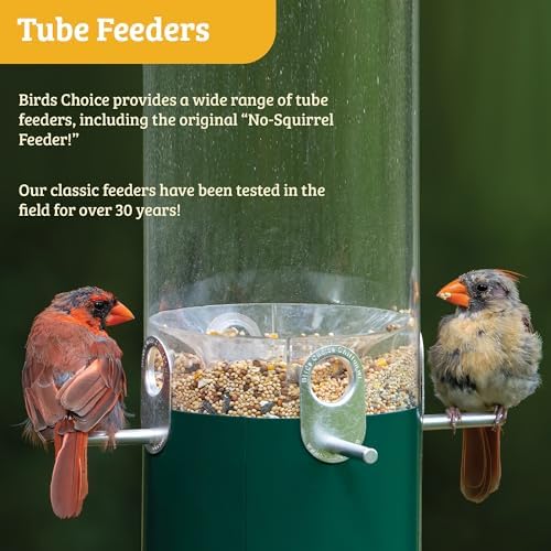 Birds Choice Classic Hanging Bird Feeder with Weatherguard Baffle | Squirrel Proof Bird Feeder for Cardinals, Chickadees