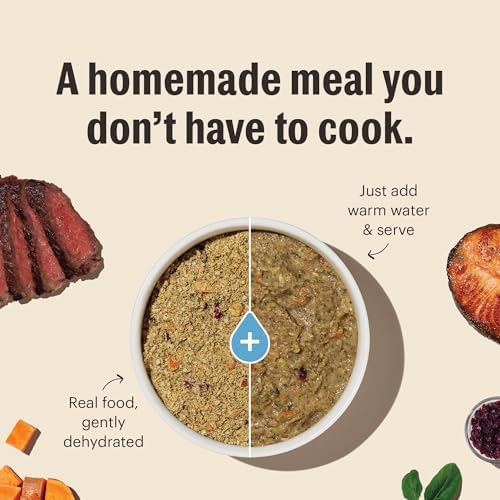 The Honest Kitchen Human Grade Wholemade™ Dehydrated Whole Grain Dog Food - Complete & Balanced Meal or Topper - Beef & Oat
