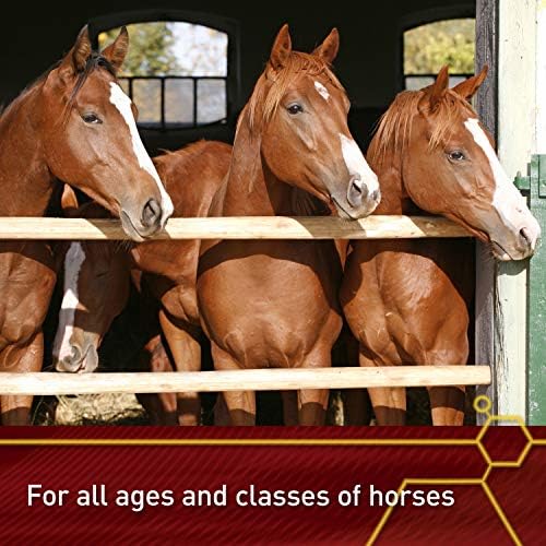 Vita Flex Pro E-5000 Premium Horse Vitamin E Powder, 4 lbs, 128-Day Supply