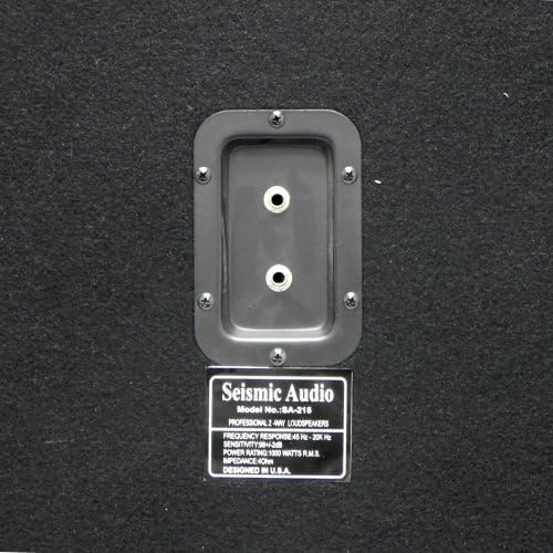 Seismic Audio - 215 Bass Guitar Speaker Cabinet 2x15 PA DJ 600 Watts Dual