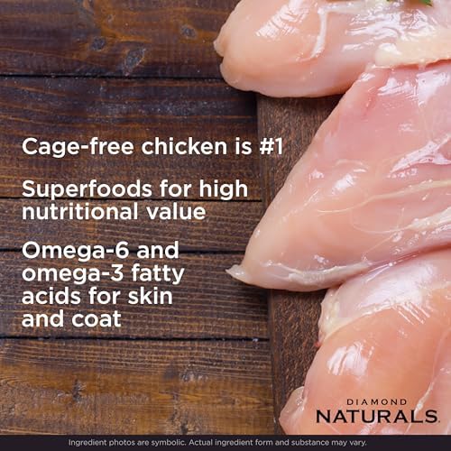 Diamond Naturals Small & Medium Breed Puppy Dry Dog Food, Chicken, 6lb | Puppy, Adult & Senior Dogs | High Protein | DHA for Proper Brain and Vision Development | Guaranteed Probiotics