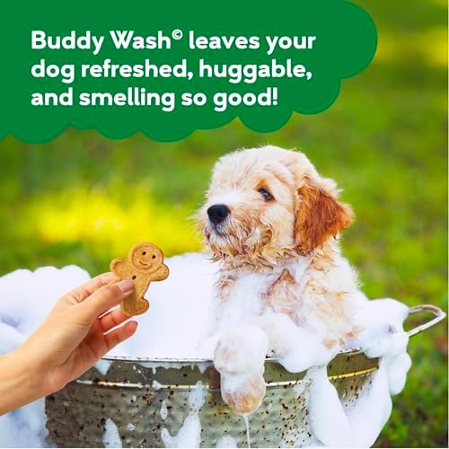 Buddy Grooming Wash 2 in 1 Dog Shampoo, Lavender & Mint, 16 oz. Bottle