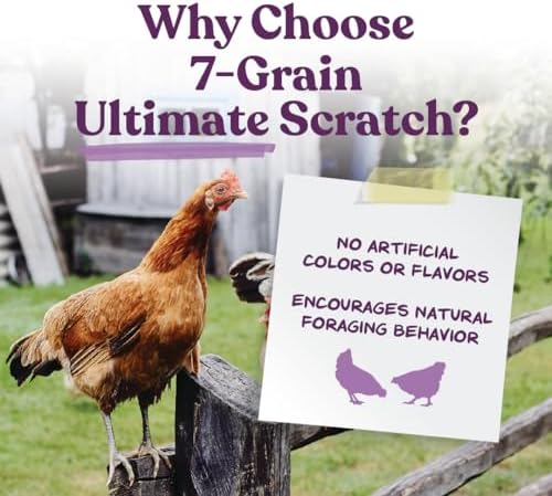 Manna Pro 7-Grain Ultimate Chicken Scratch Treat, Non-GMO, 10 lb Bag | 7-Grain Scratch Treat Blend, Non-GMO Ingredients, Natural Multigrain Recipe