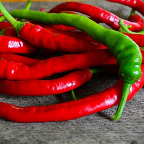 Surmeli Turkish Sweet Pepper - 25 Seeds - Rare Heirloom Turkish Pepper, USA-Grown
