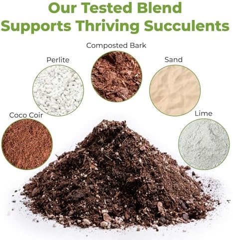 Perfect Plants Succulent & Cactus Soil, 8 qt, Organic Potting Mix | Fast draining blend of peat moss, composted pine bark, perlite and lime for the dry roots cacti love, resealable bag