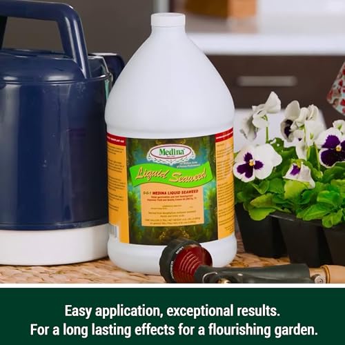 Medina Liquid Seaweed Fertilizer, 1 Gallon | For Plants, Concentrated, Lawn and Garden, Enhances Plant Growth and Soil Health, Ready to Spray, Covers 64000 Sq. Ft.