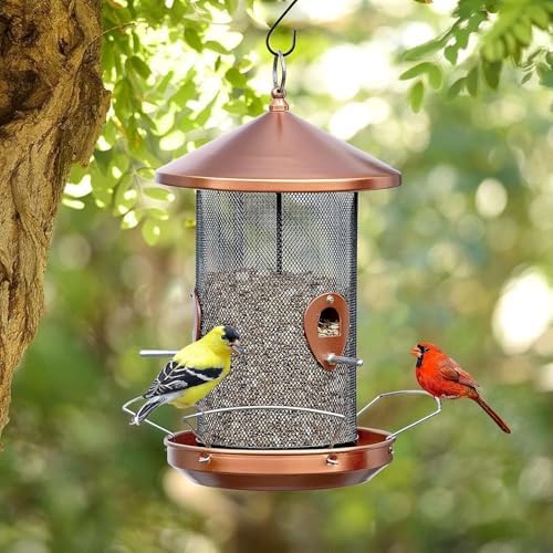 Large Bird Feeders for Outside: 3-5LB Capacity Seed Feeding | 12.6inch Easy Hanging for Tree Garden Yard Outside Decor Cardinal Finch - Gardening