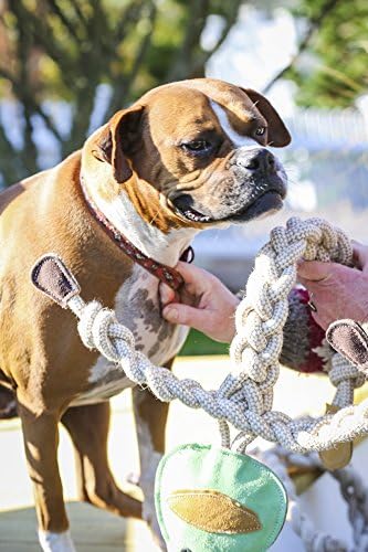 HuggleHounds Natural Rope Knottie - Leather Dog Toys for Aggressive Chewers, All Natural Cotton, Interactive Leather Toy for Small or Large Dog Breeds, Tough & Durable Chew Toy - Stuey Sock Monkey