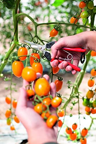 Felco F310 Pruning Snips – 7.3" Lightweight Garden Clippers for Fine Trimming & Harvesting | Pruning Shears for Gardening | Garden Snips and Pruners with Forged Aluminum Handles, Precision Tip