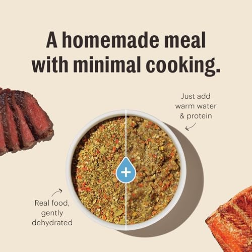 The Honest Kitchen Wholemade Whole Grain Dog Food Base Mix, Veggie & Fruit, Human Grade, Easy Homemade Dog Food Starter, Just Add Water