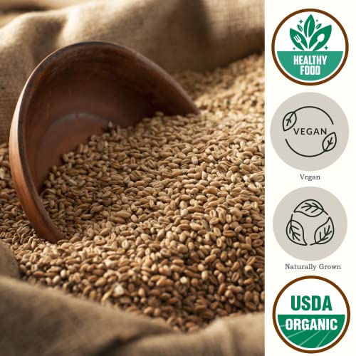 Organic Soft White Wheat Berries 5.8lb - Healthy Whole Grains Bulk | Ideal for Feeder Oats, Flour, Bread, Soup - High in Protein & Fiber - USA Grown | USDA Certified | Vegan | Non-GMO