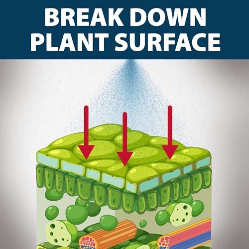 Airmax Treatment Booster Plus Aquatic Surfactant for Herbicide, 16 Ounces | Non-ionic solution for pond algaecide and herbicide treatments, safe liquid vegetation treatment