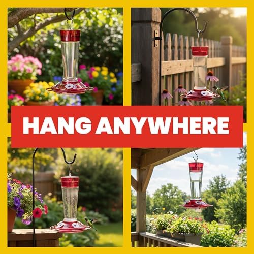 More Birds Bird Health+ Ruby Hummingbird Feeder, Glass Hummingbird Feeders for Outdoors, 4 Feeding Stations, 10 Ounces, Ruby Red