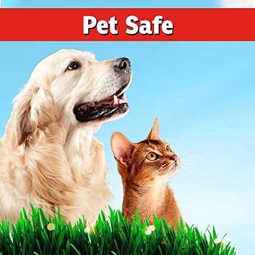 I Must Garden Deer Repellent: Powerful All-Natural Protection, 32oz Spice | Ready to Use Spray - Safe for Plants Pets & Pollinators - Pleasant Scent - Long-Lasting Control