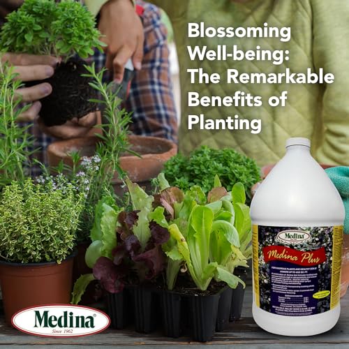 Medina Plus Soil Activator - Liquid Soil Loosener for Lawns & Gardens - Micronutrient-Rich Soil Conditioner & Softener - Used with House Plant Fertilizer, Liquid Plant Food for Houseplants - 1 End Qt