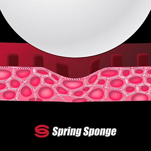 Butterfly Timo Boll ALC Blade & Tenergy 05 Rubber Shakehand Table Tennis Racket - Pro-Line Series - Comprised of Our Most Popular Blade and Rubbers