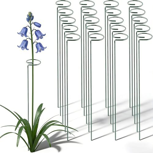 10 Pieces 24 inch Green Single Stem Plant Stakes Flower Support Rings,Gardening Planter Cages for Single Stem Flowers, Amaryllis, Peony, Lily,Narcissus