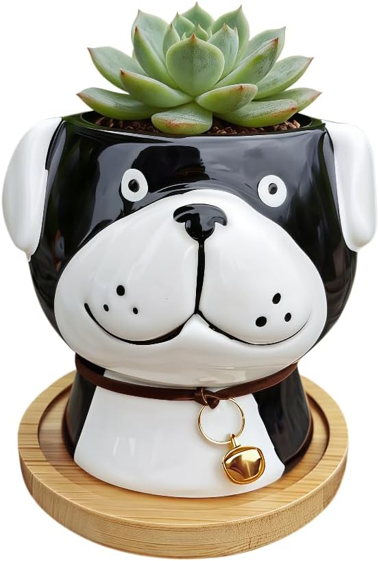 Cuteforyou Succulent Pots,Cute Animal Shaped Cartoon Ceramic Succulent Cactus Flower Planters -Plant Not Included，Cat