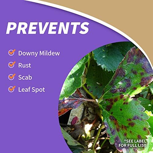 Bonide Captain Jack's Fruit Tree Spray, 16 oz Concentrate, Insect & Disease Control Spray for Organic Gardening