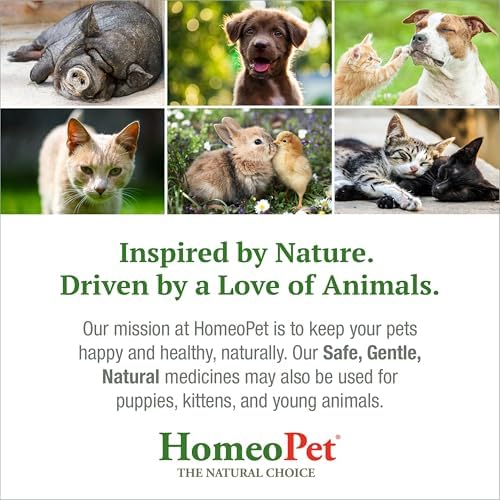 HomeoPet Feline UTI+ Urinary Tract Supplement for Cats, 15 Milliliters | Natural urinary tract support for cats, safe and gentle homeopathic formula, liquid drops suitable for daily use
