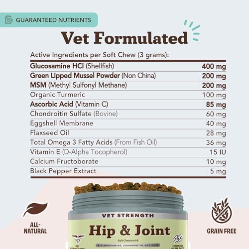 Natural Dog Company Liquid Glucosamine Hip & Joint Oil for Dogs, 16 oz, Extra Strength Cartilage & Joint Support, Helps Mobility and Eases Occasional Stiffness, Dog Vitamins & Supplements