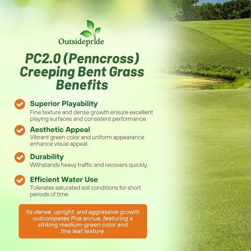 Outsidepride PC2.0 (Penncross) Creeping Bent Grass Seed – 2 lbs. Premium Golf Course Grade, Dense, Wear-Resistant Turf Grass Seeds for Tees, Putting Greens & Fairways, Ideal for High Traffic Areas