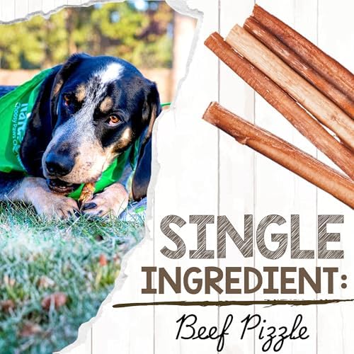 Nature Gnaws Bully Sticks 6" Long Lasting Rawhide Free Dog Chews, 8 oz