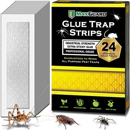 MaxGuard Glue Trap Strips (24 Traps) Non-Toxic Extra Sticky Glue Board Pre-Baited with Fruity Scent Attractant Trap & Kill Insects, Bugs, Spiders