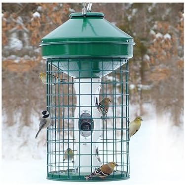 Woodlink Naav1Mnp Caged Seed Feeder, 1 Count