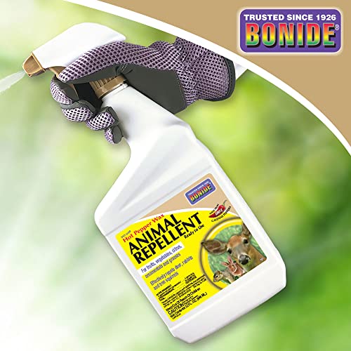 Bonide Hot Pepper Wax Animal Repellent, 32 oz Ready-to-Use Spray for Deer, Squirrels, Rabbits in Lawn & Garden | Repel Deer, Squirrels