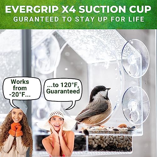 Window Hummingbird Feeder, Suction Cup, Hummingbird Feeders for Outdoors | leak proof with sealing gasket included, bee and wasp proof flowers