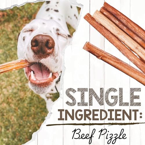 Nature Gnaws Bully Sticks 11-12" Long Lasting Rawhide Free Dog Chews, 8 oz