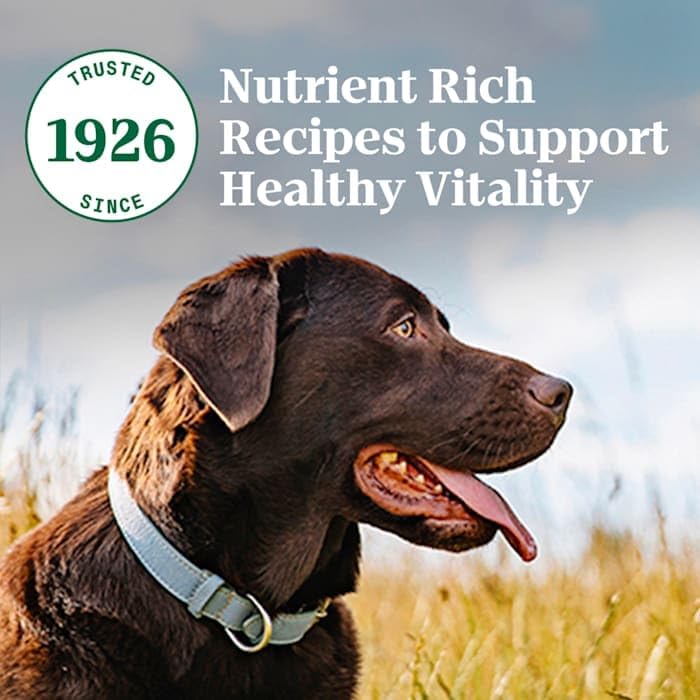 Nutro Natural Choice Healthy Weight Dry Dog Food, Chicken & Rice, 30 lb | Non-GMO, Chicken #1 ingredient, no corn, wheat, soy, supports weight loss, skin & coat, digestive & immune health