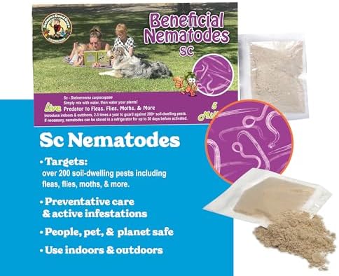 Beneficial Nematodes Sc-Steinernema carpocapsae 250 Million