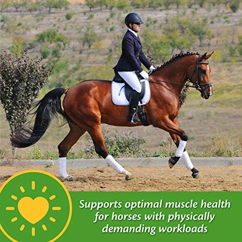 Farnam Vita-Min E & Selenium Antioxidant Supplement for Horses, 3 lb