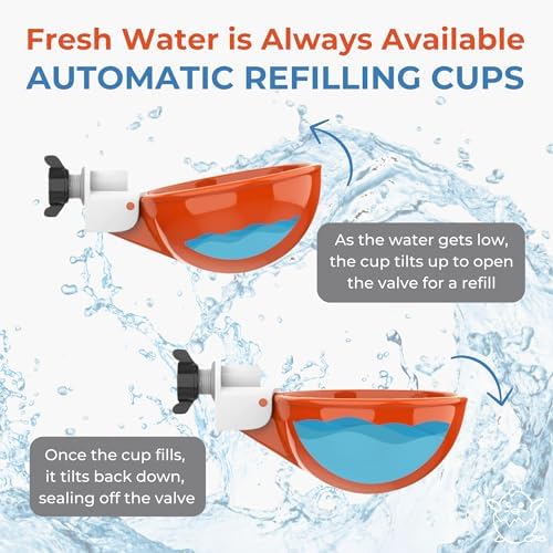 Lil'Clucker Large Automatic Chicken Waterer Cups | Chicken Water Feeder Suitable for Chicks, Duck, Goose