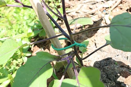 Soft Plant Ties, Garden Ties TPR Flexible Durable Heavy Duty Twist Wire for Twine Tomato Branches Vines and Tying Up Cable Wires (Green) (50ft, 0.2in)