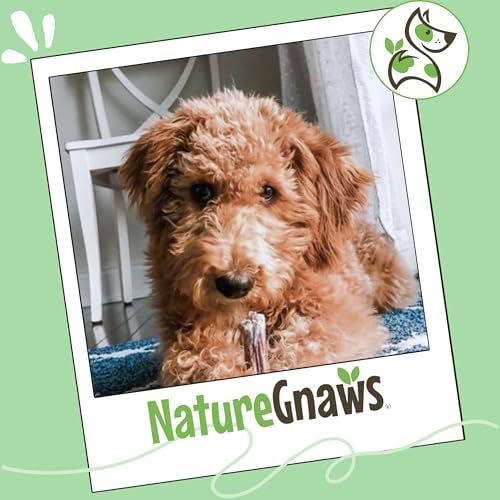 Nature Gnaws Bully Stick Bites 2-4" Rawhide Free for Small Dogs, 8 oz