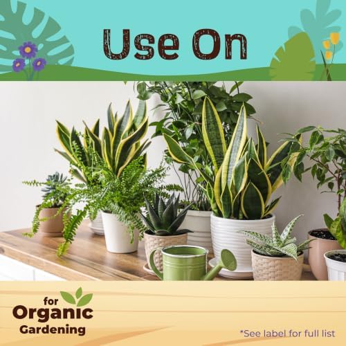 Bonide Houseplant Liquid Plant Food 10-10-10, 8 oz Concentrated Fertilizer for Indoors, Use Every Time You Water | Concentrated Fertilizer for Indoors