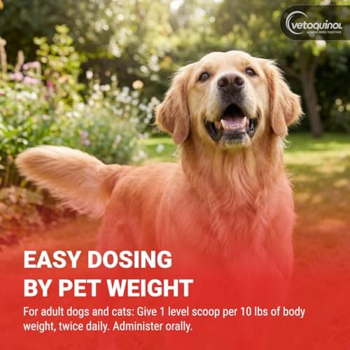 Vetoquinol Renal K - Potassium Supplement Powder for Dogs & Cats - Supports Kidney Health & Pet Wellness - Unflavored Oral Supplement - 3.5oz