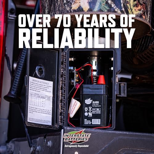 Interstate Batteries SLA Battery 6V 5Ah AGM VRLA (Spring Terminal) SLA0916