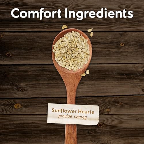 Morning Song Sunflower Hearts & Chips Wild Bird Food, No Mess Sunflower Seeds for Birds, 5.5-Pound Bag | No Mess Sunflower Seeds for Birds