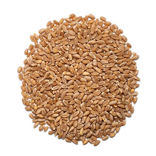 1000 SPRINGS MILL - Organic Hard Red Spring Wheat Berries - Used for Organic Flours, Cereals, Salads