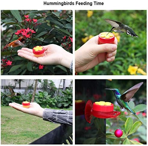 Naomo Handheld Hummingbird Feeders with Suction Cup, Multifunctional Mini Hummingbird Feeder with Perches for Outdoors