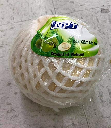Young Fresh Coconut (Pack of 6)