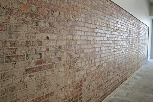MasonryDefender Brick Sealer Satin Sheen - Water Based, Reduces Dust, Easy Clean - 1 Gallon