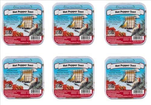 6 Pack Pine Tree Farms Hot Pepper Suet Cake 12 oz Made in USA