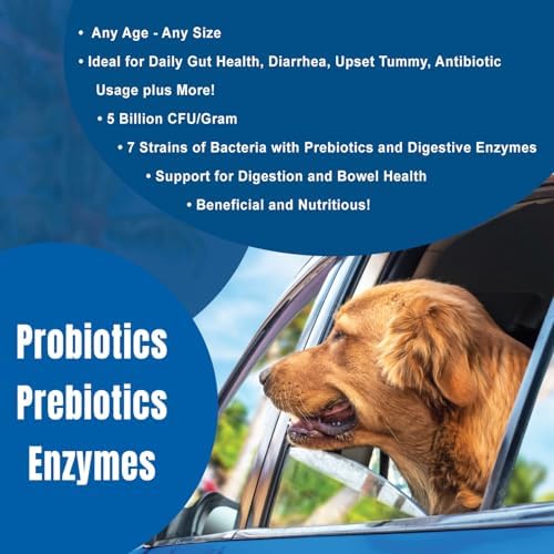 DOGZYMES Dissolvable Powder Digestive Enhancer for Dogs, (8 Ounce)