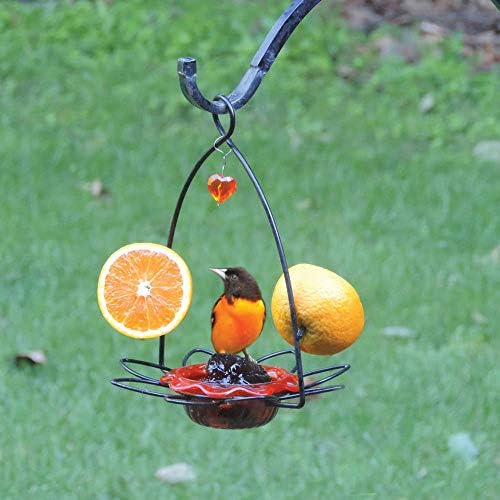Birds Choice Flower-Shaped Oriole Feeder for Jelly & Oranges | 3oz, Orange | Removable Cup and Fruit Pegs with Heart Ornament, Sturdy for Garden and Backyard, Orange Finish